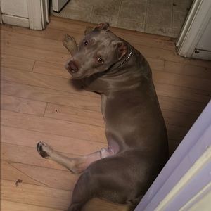 Meet your Posher, Justin